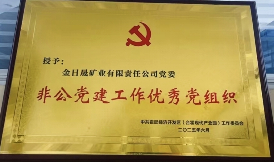 非公党建任务优异党构造（子公司）