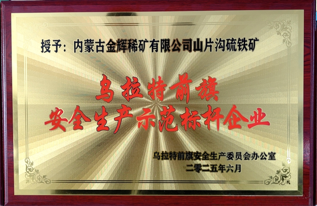 宁静出产树模标杆企业（子公司）