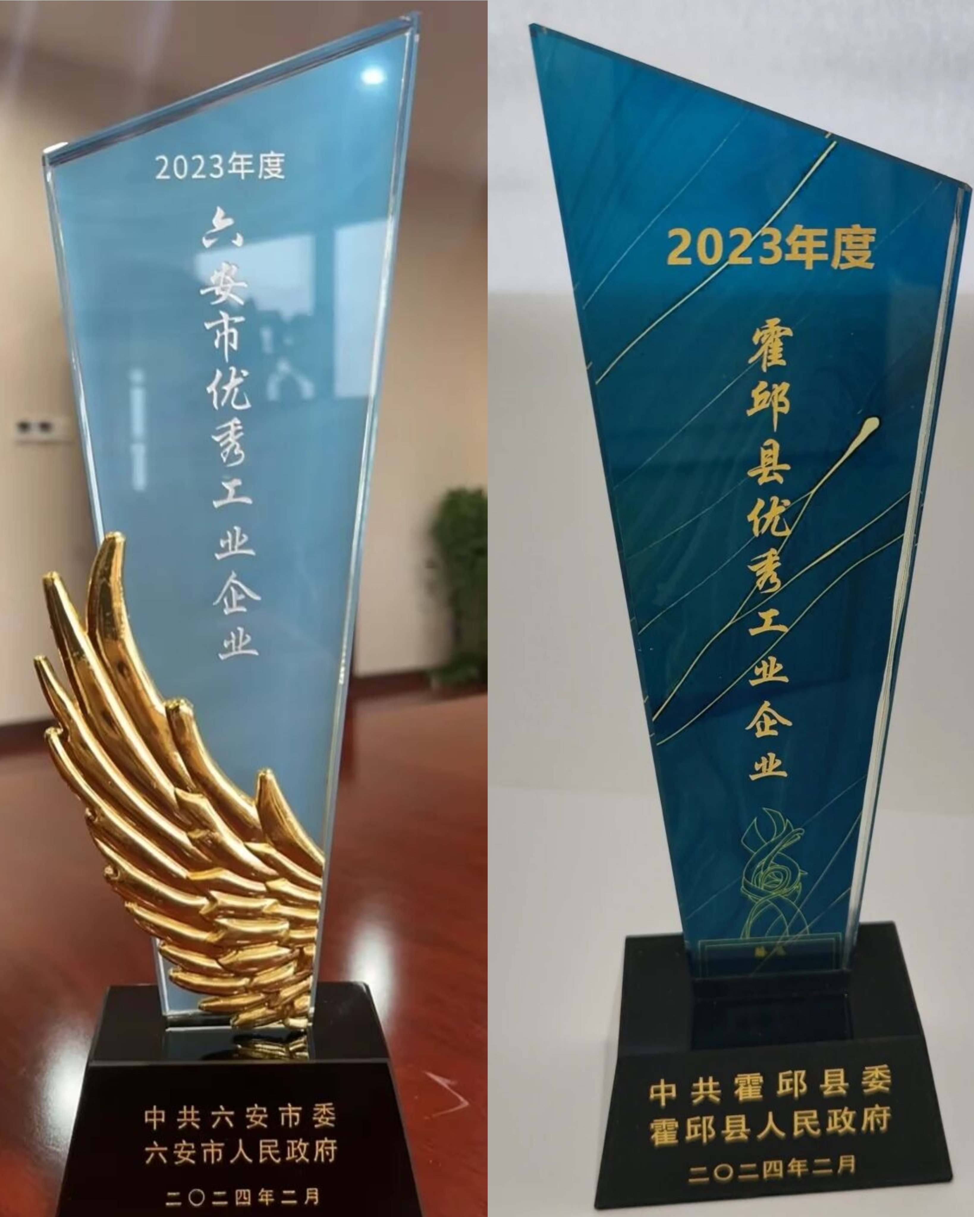 六安市、霍邱县优异产业企业（子公司）